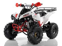 Motax ATV Raptor, 2021 