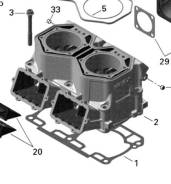 420413041    Ski Doo Rotax 800R E-TEC 420413042 