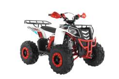 Wels Thunder EVO 125, 2021 