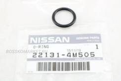 -   / Nissan 221314M505 