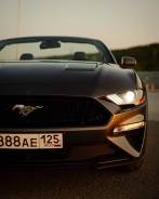 /  Ford Mustang ( ) 