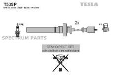  ,  ., /MD365102/ Tesla T539P 