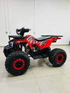 Avantis ATV Classic 8, 2022 