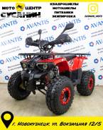 Avantis ATV Classic 8+, 2021 