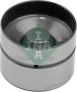  INA 420002210 