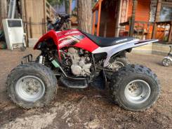 Motoland ATV 250S, 2021 