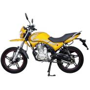 Regulmoto SK 200-9, 2022 