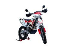 Regulmoto Dyna 250, 2022 