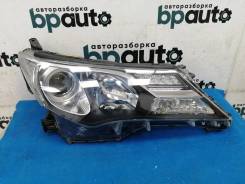    (81145-42572) Toyota Rav4 40 (2013  2015) 