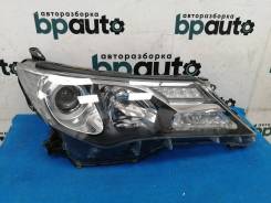    (81145-42572) Toyota Rav4 40 (2013  2015) 