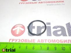   QML FVR, [EL0813] 