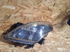 ���� �����