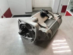 ������� WL (10���) ����