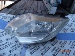 ���� �������� �����