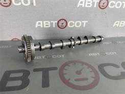 ���������� �������� Octavia (A5 1Z-) 2004-2013 06H109021K ����