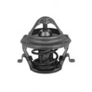  Ford Focus Splitport 