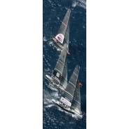     32-   "Fleet to the mark - 32nd America's Cup"  - Art Boat/OE 339.03.419N 3395    