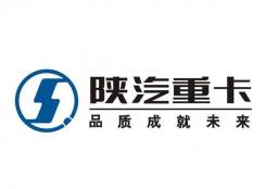  WP12 Shaanxi 612630020024 