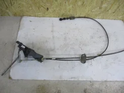 �������� ���� ���� ����� 2008 ����
