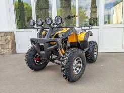 Tiger Sport 250, 2024 