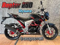 Regulmoto Raptor 250, 2023 