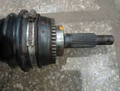 ������, ������� ����