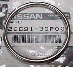   Nissan Nissan . 2069130P00 