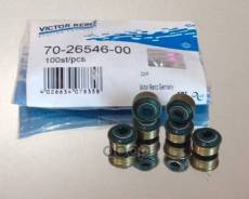   70-26546-00 Victor Reinz . 70-26546-00 