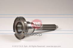 , Zf 1356302100 TAS Spa . 'T17909  