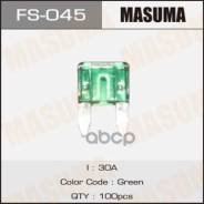    30 ( 100 ,   1 ) Masuma . FS045 