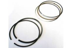    Stels Guepard 800 Viking Ermak Rosomaha 