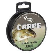  Carpfishing  280 m  0.400 mm Ragot AWQ470097 