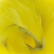      Yellow, 3  Baetis PP006/VE 