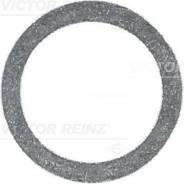     Victor Reinz 417106100 