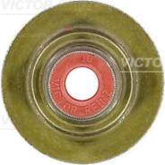   Victor Reinz '703661300 
