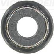   Victor Reinz 701003100 