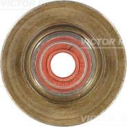   Victor Reinz '703443900 