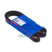  Avantech Avantech . 6PK1520 Avantech 6PK1520 