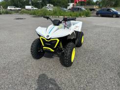 CFMoto CForce EV110, 2023 