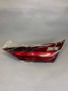 ���� ������ ������ ����������