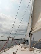 �������� ����� ����