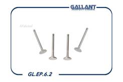  + Gallant GLEP62 