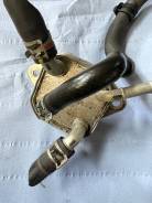 ������ ����