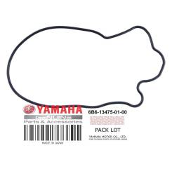     Yamaha 6b6-13475-01 