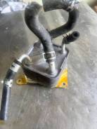 ���������� ����