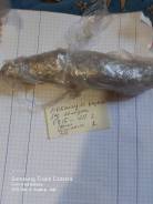  , Y11,     