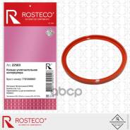    FMVQ 7701068601 Rosteco 7701068601 Rosteco . 22569 