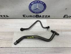    Mercedes Om646 Delphi 2003736 