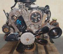  JEEP Magnum 3.9i 239 V6 Dakota , RAM  3.9  3.9 ,  , : 3903 3 ,  ,   ,  ,  ,  ,  ! [041-AM_EN58_032] 