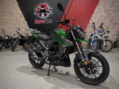 Regulmoto T-Leopard 300, 2023 